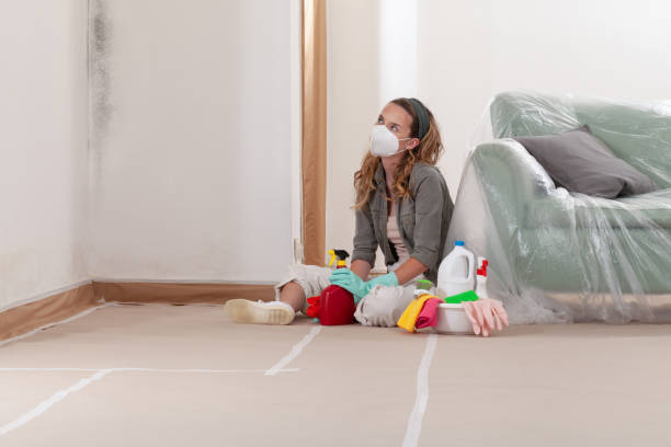 Reliable Mold Remediation contractor in Bloomington, IL by Cheap Mold Removal